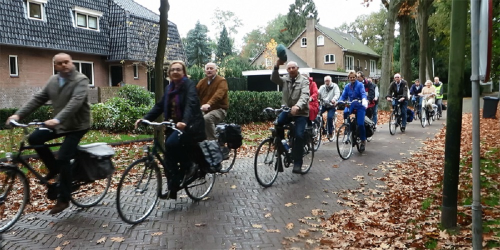 Electric Bicycles Can Make Older People's Brains More Developed - blog - 2