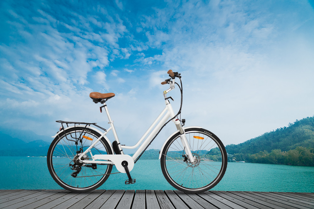 Here is newest electric bike catalog to you - blog - 3