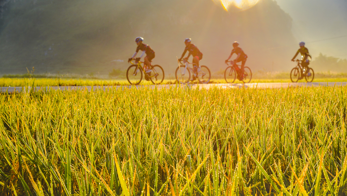 Here are five things you should be aware of when cycling in the summer - Product knowledge - 1