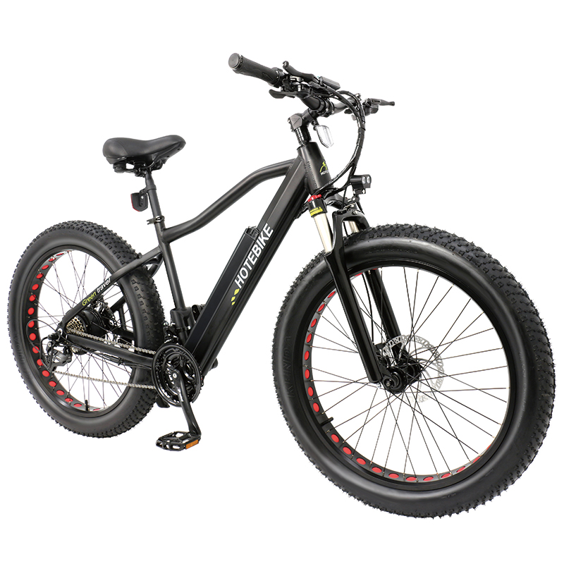 48V 750W Fat Tire Electric Bike Powerful Mountain Bike with 13AH Battery