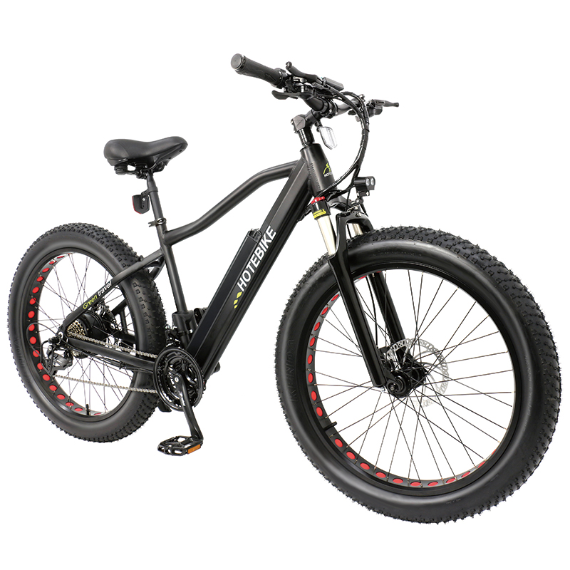 48V 750W Fat Tire Electric Bike Powerful Mountain Bike with 12AH Battery A6AH26F