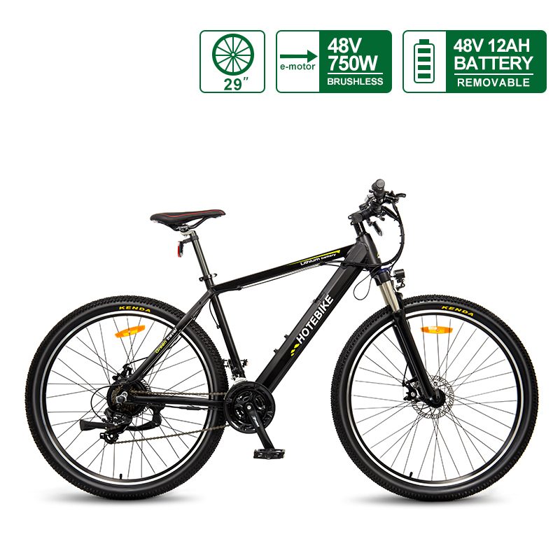 electric mountain bike 29 inch wheels