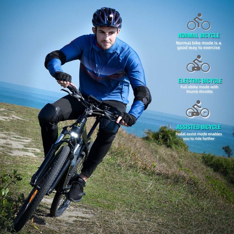 Electric Bike 750 watt