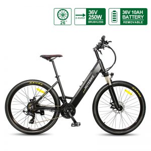 European Electric City Bike lightweight electric bike with 36V 250W motor HOTEBIKE A5AH26