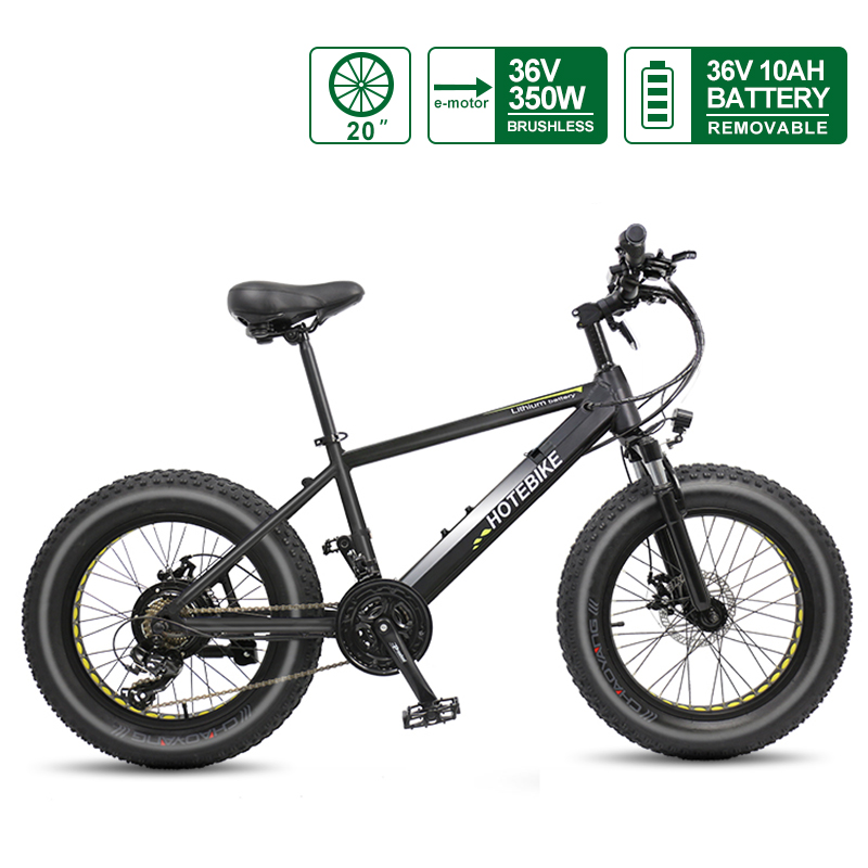 Ina Mini Bike Beach Fat Tire Electric Bike 20 inch 36V 350W