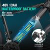 Electric Bike 750 watt 48v