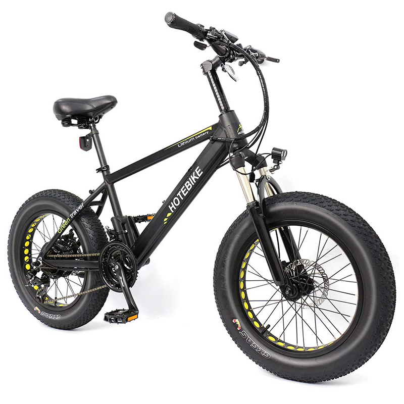 Bicicletta elettrica da 20 pollici 36V 350W per mini bici da spiaggia