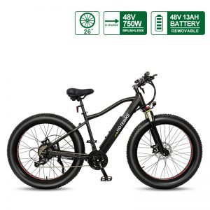 fat bike battery