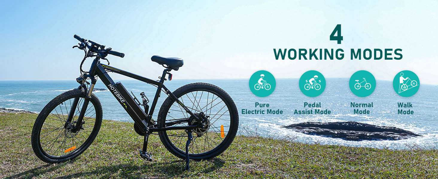 48V 500W Electric Mountain Bike Removable Battery HOTEBIKE - Mountain Electric Bike - 1