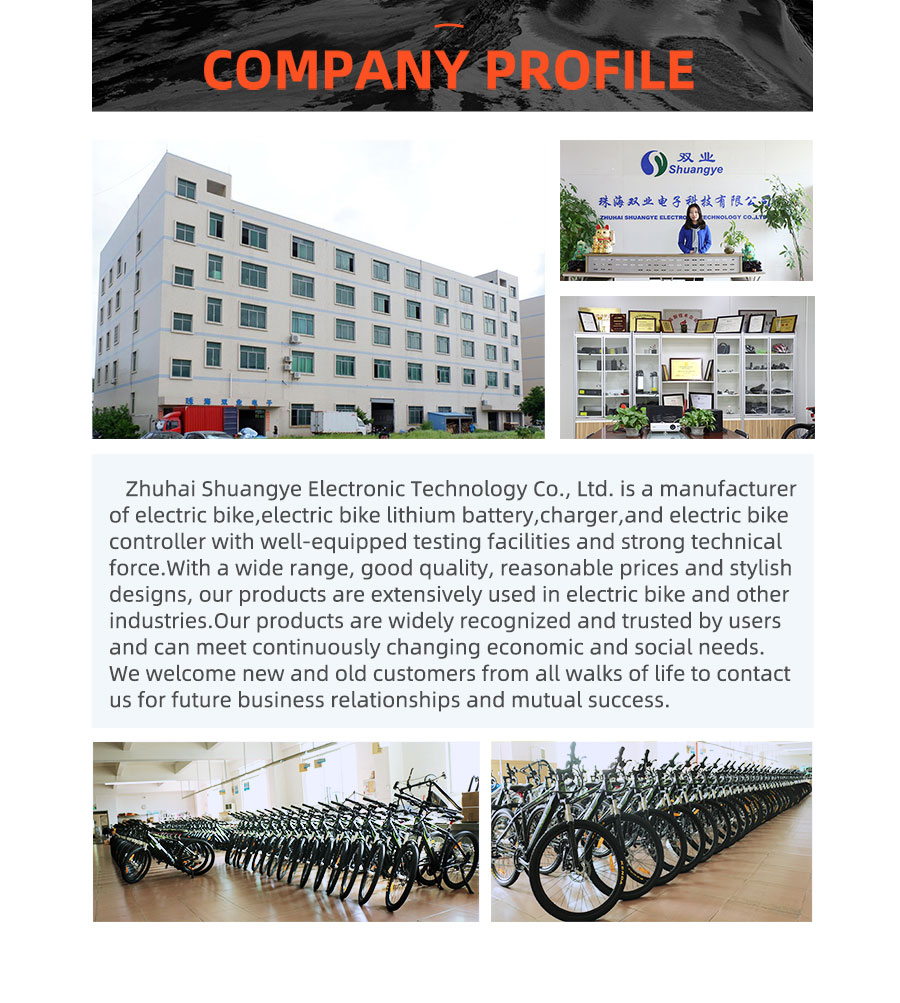 best budget electric bike