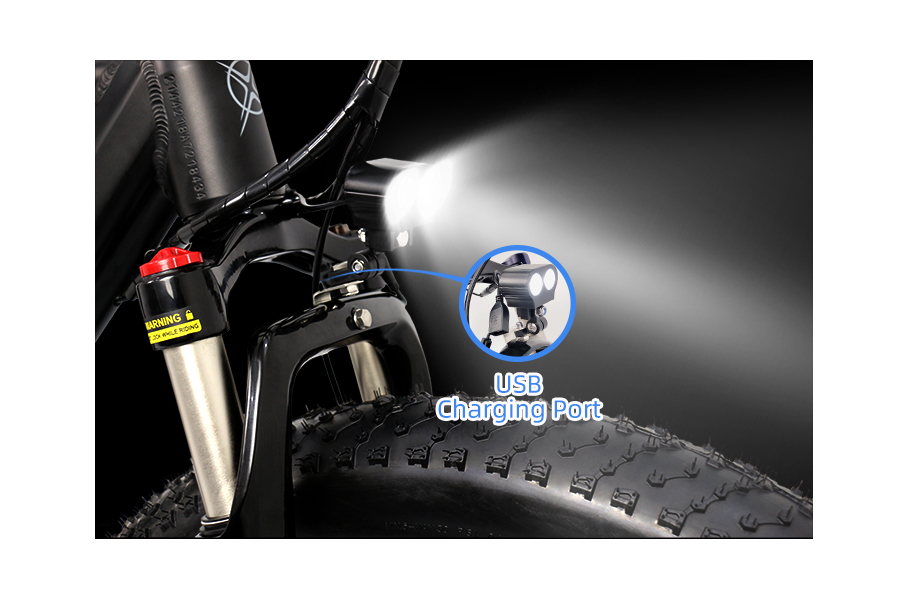 48V 750W Fat Tire Electric Bike Powerful Mountain Bike with 13AH Battery - Fat Tire Electric Bike - 13