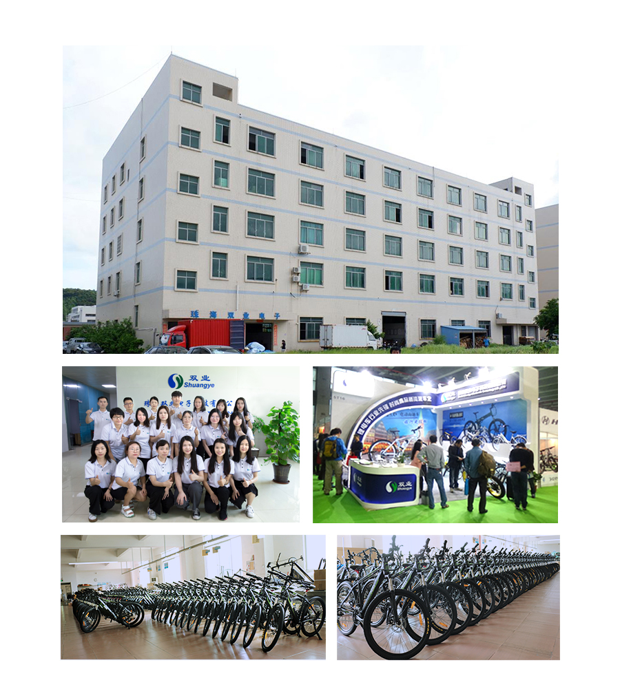 48V 500W Fat tire electric bicycle high power mountain bike 26