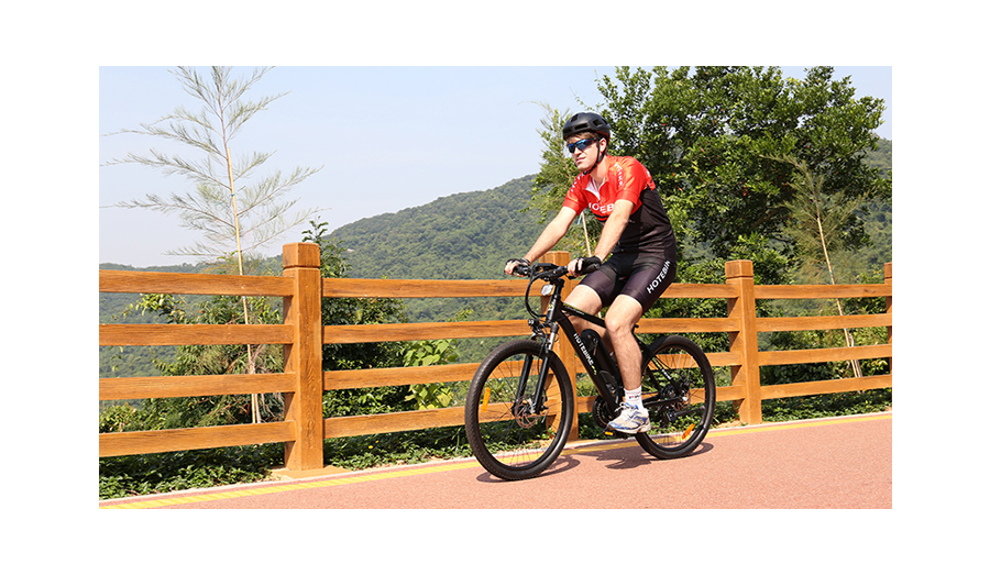 250W Cheap Electric Mountain Bike 26 inch Specialized E Bike A6AB26 E-Bike - Mountain Electric Bike - 13