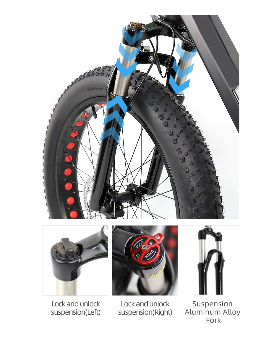 48V 750W Fat Tire Electric Bike Powerful Mountain Bike with 13AH Battery - Fat Tire Electric Bike - 7