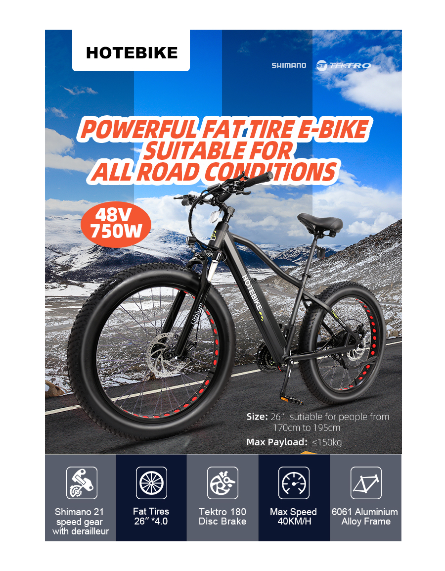 48V 750W Electric Fat Bike Powerful Mountain Bike Giant Bike A6AH26F Canada - Electric Bike Canada - 1