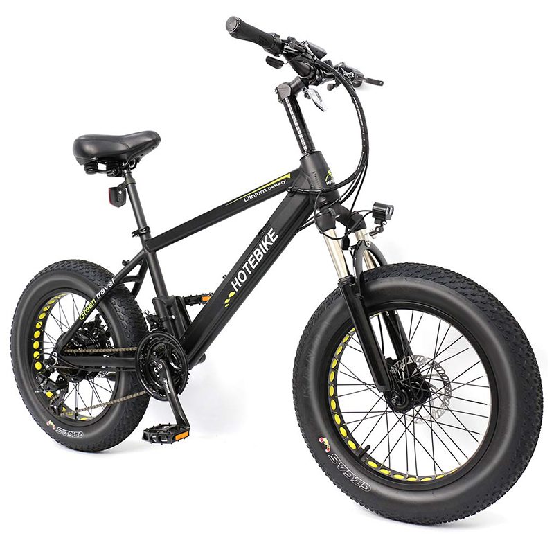 fat mini bike