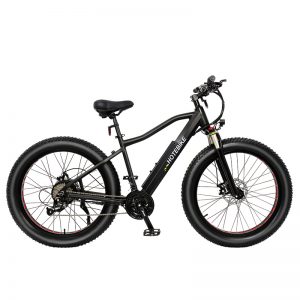 750w high power fat tire electric bicycle 750w high power fat tire electric bicycle