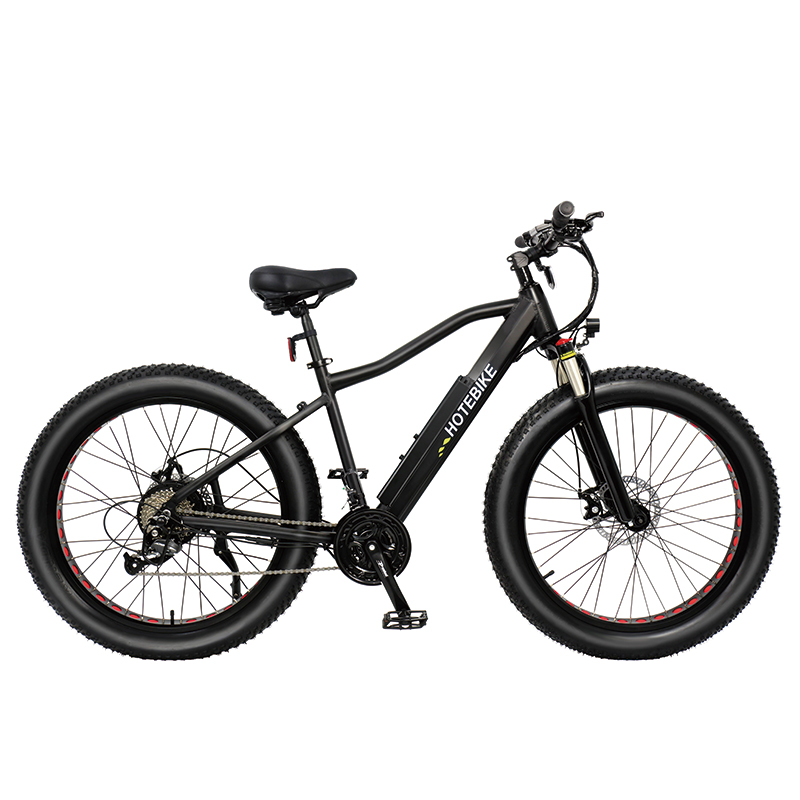 750w high power fat tire electric bicycle