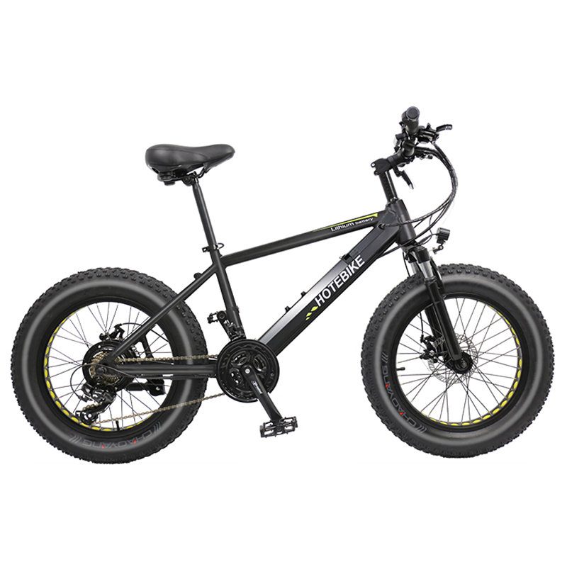 20 inch fat tire beach snow electric bike