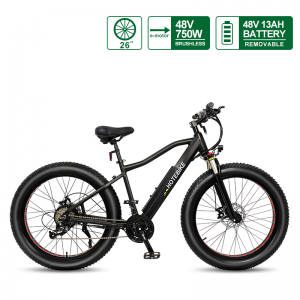 hotebike powerful 750w fat tire electric bike hotebike powerful 750w fat tire electric bike