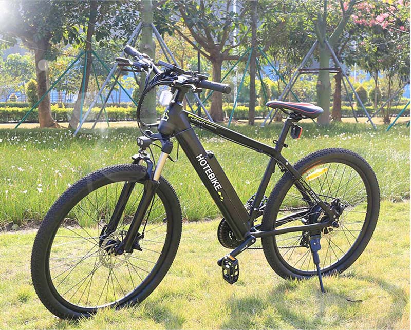 E bike