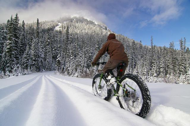 What are the advantages of fat tire bikes? - blog - 4