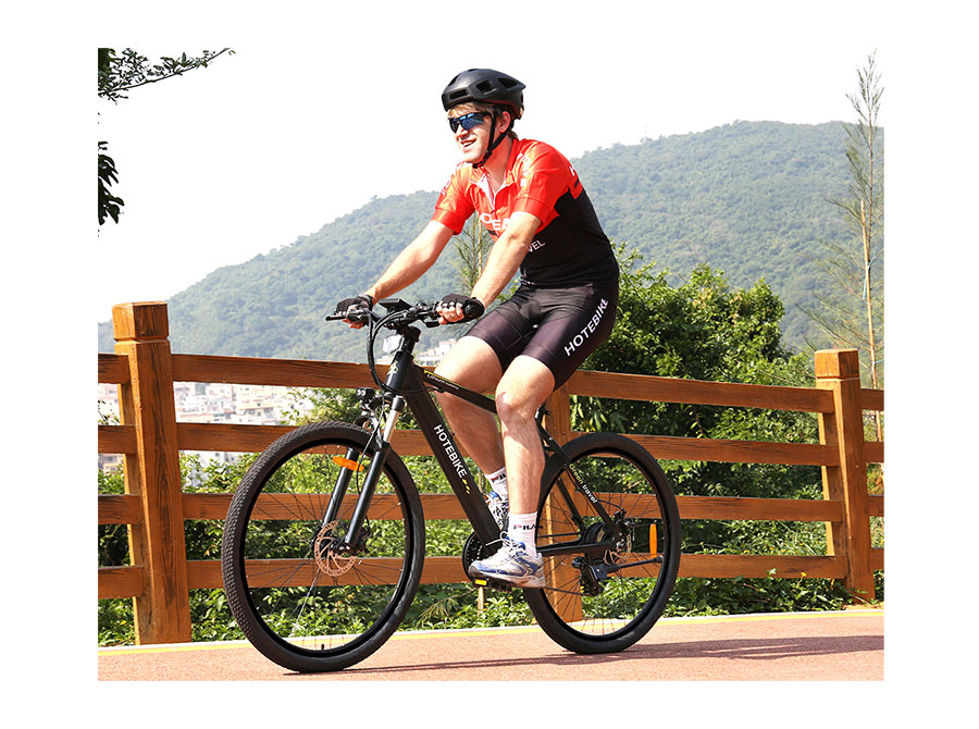 European Popular 26inch 36V250W Specialized Electric Mountain Bike - Electric Bike Europe - 14