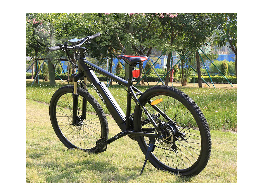 electric mountain bike canada