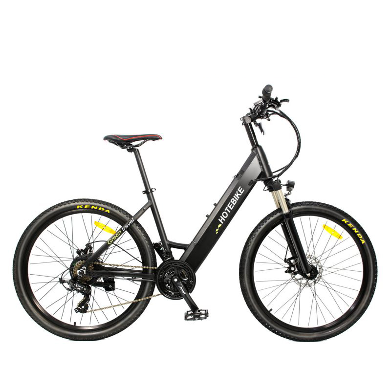 Electric mountain bike