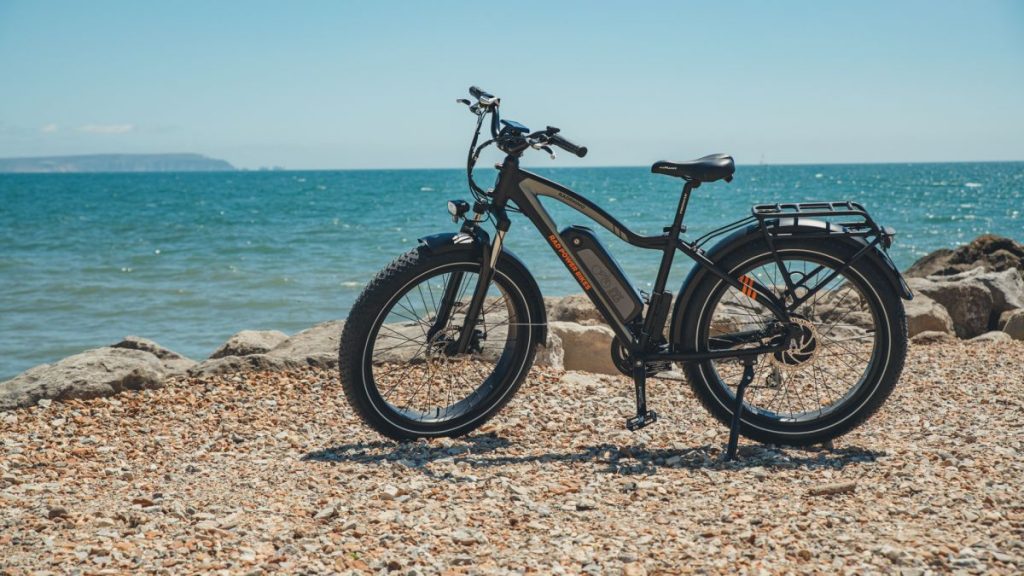 Rad Bikes RadRhino Review