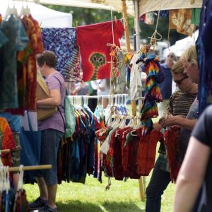 Annual Art in the Park event goes virtual | Coronavirus