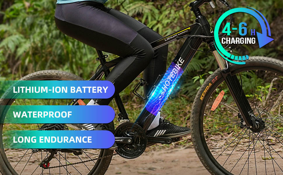 36V 10AH Electric Bike Battery