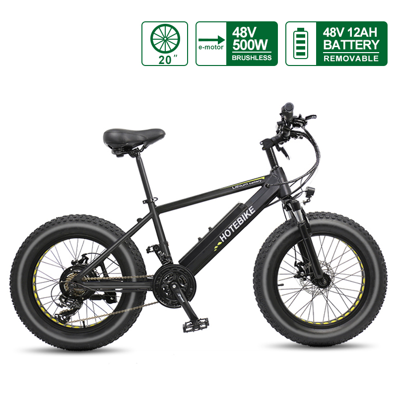 20 inch Fat Bike for Sale 500W Specialized Electric Bike A6AH20F Fat Tire Electric Bike 48v