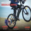 electric biycle 500w motor