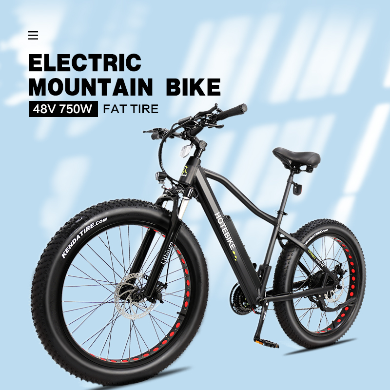 9 Best Fat Tire Electric Bikes 2020