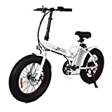 Top 10 Best Folding Electric Bikes 2020