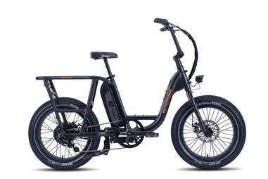 raleigh electric bike