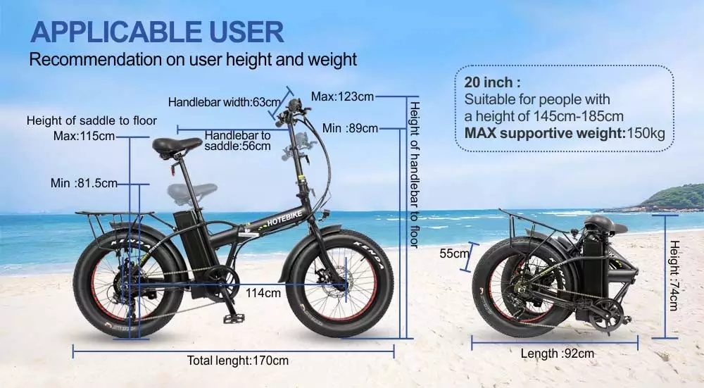 fat tire tire electric bike for sale