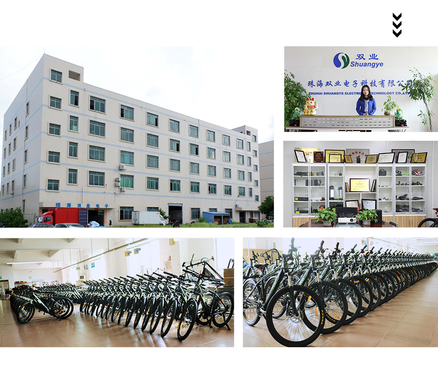 48V500W 20 Inch Electric Fat Bike Fat Tire Electric Bike A6AH20F - Electric Bike Russia - 16