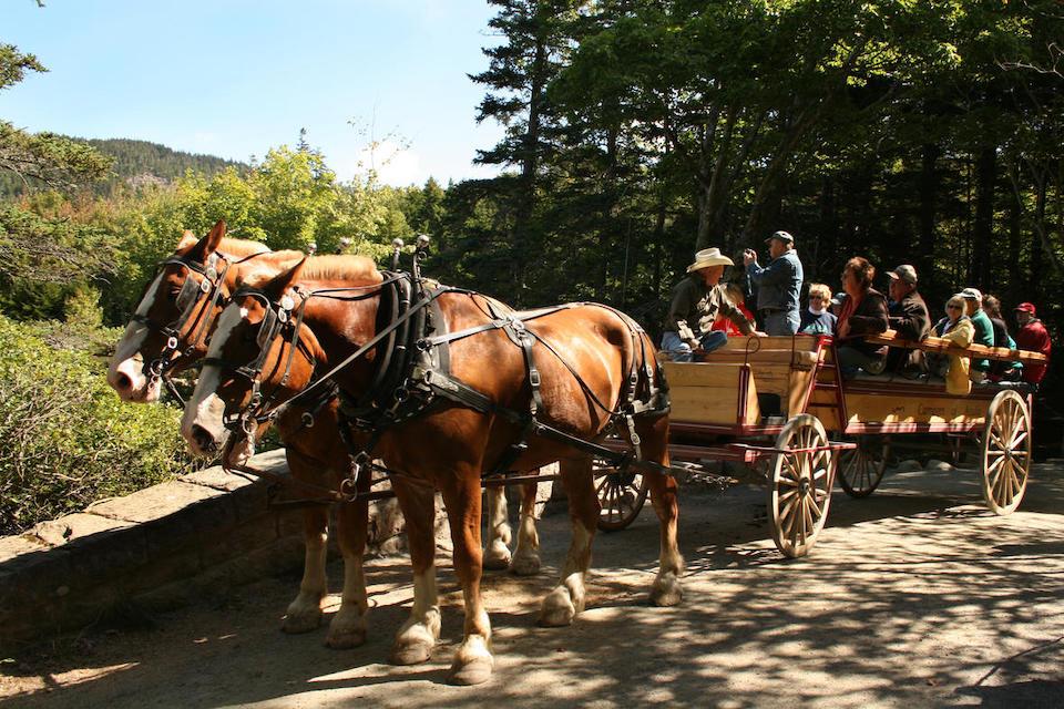 eBikes And Horse-Drawn Carriages Don't Always Mix At Acadia National Park - blog - 1