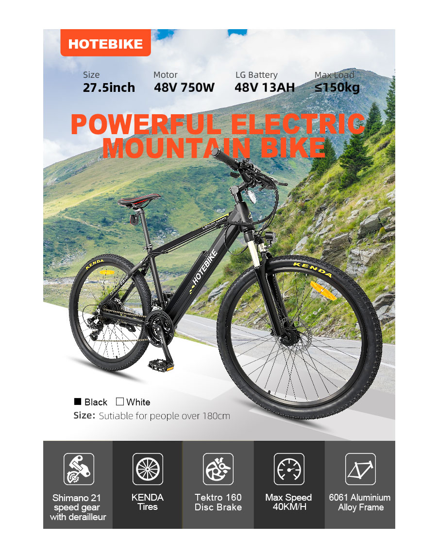 Which type of bicycle is fastest - News - 2
