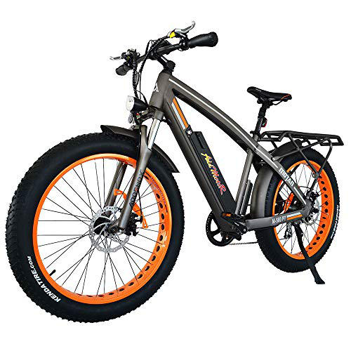 What is the best fat tire electric bike - blog - 3