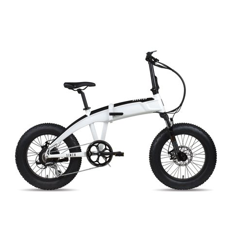 What is the best fat tire electric bike - blog - 9