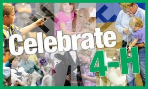 Time to Vote for Your Favorite 4-H Projects!