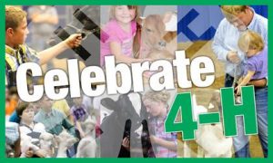 Time to Vote for Your Favorite 4-H Projects! Time to Vote for Your Favorite 4-H Projects!