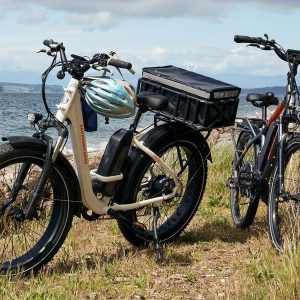 Best Electric Bikes 2020: Good Bikes to Buy This Year for Every Budget