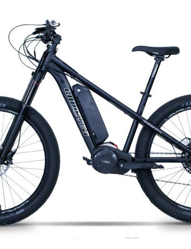 Hardtail Christini AWD