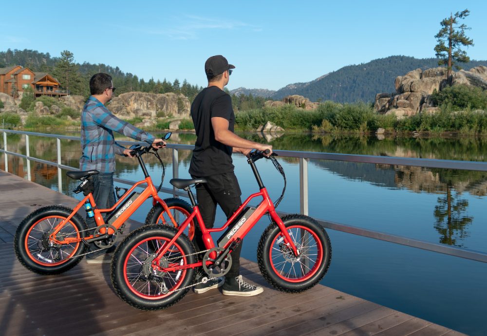 bicicleta pedego