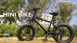 Fat Tire Electric Bike A6AH20F Video Fat Tire Electric Bike A6AH20F Video