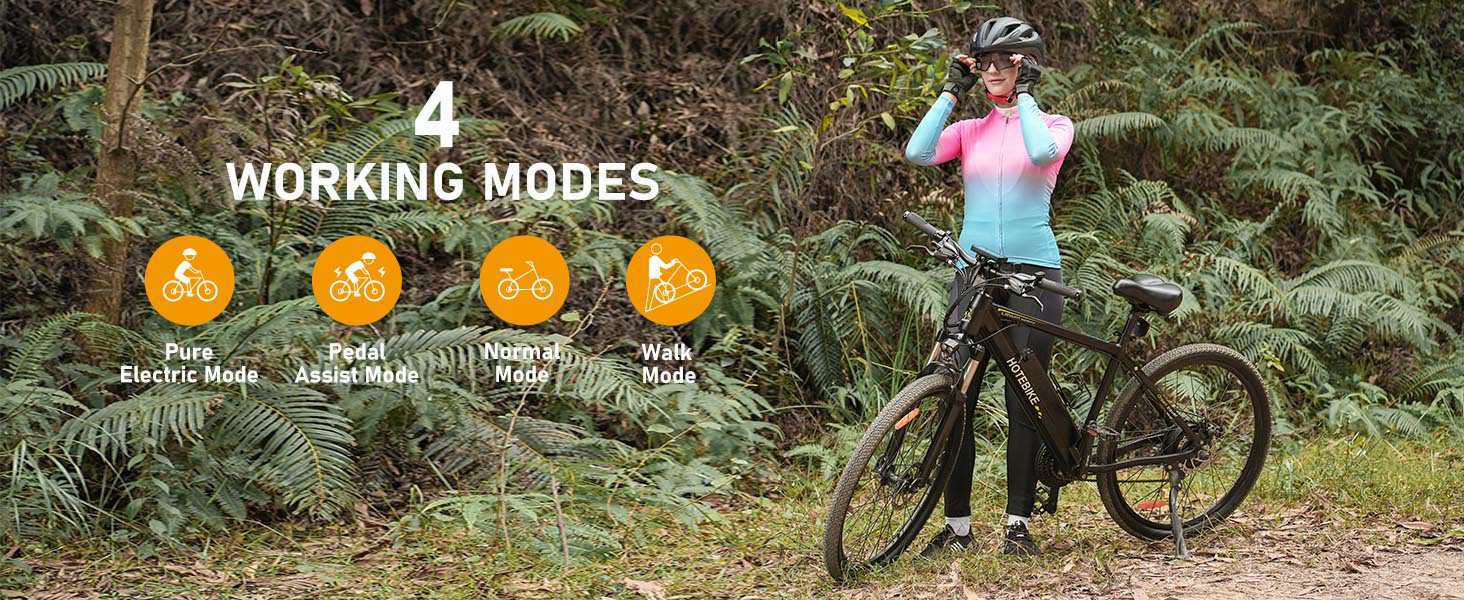 Electric Mountain Bike 500W 35KM/H Ebike - Mountain Electric Bike - 1